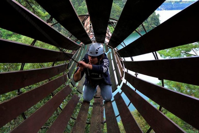 Rutas por los arboles